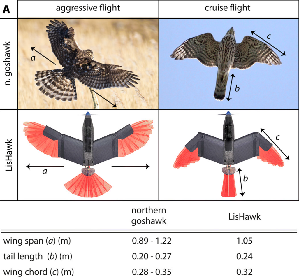 week10_morphing_wing