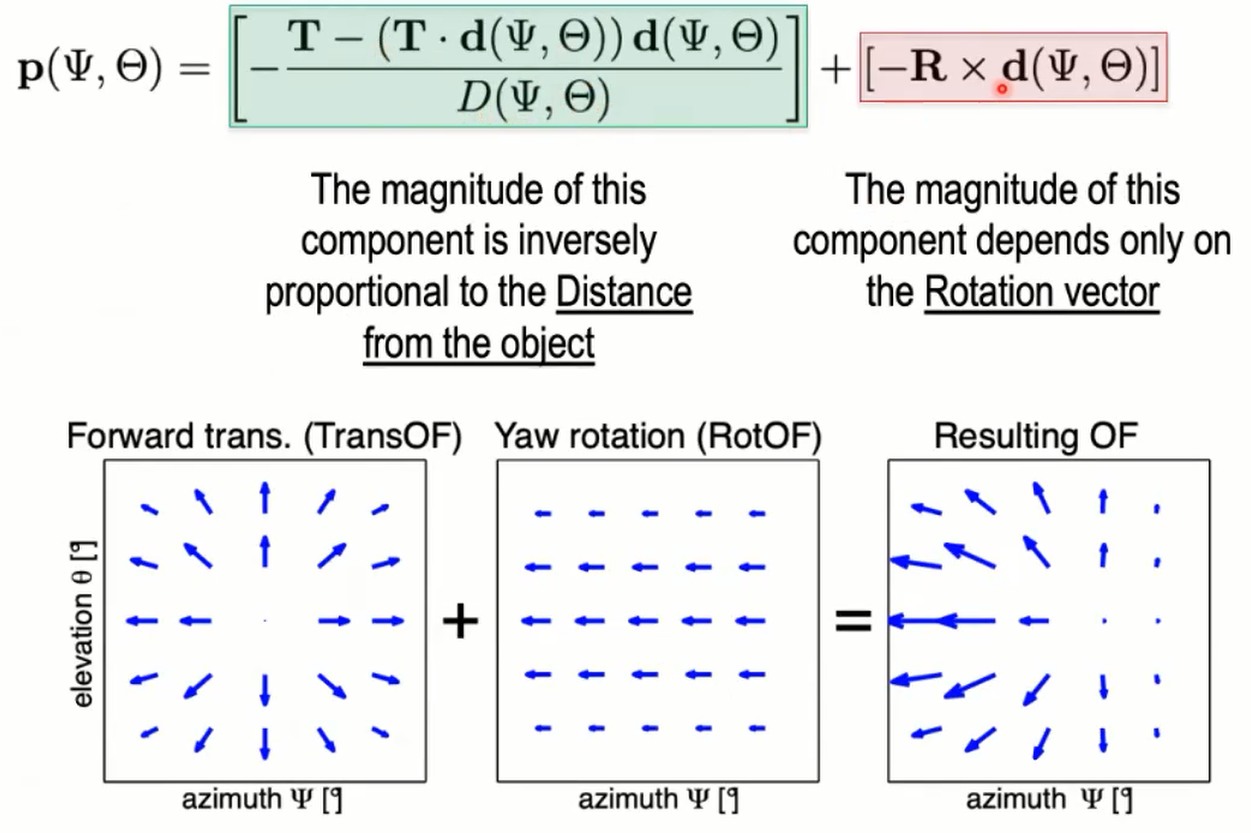 week10_optical_flow_component