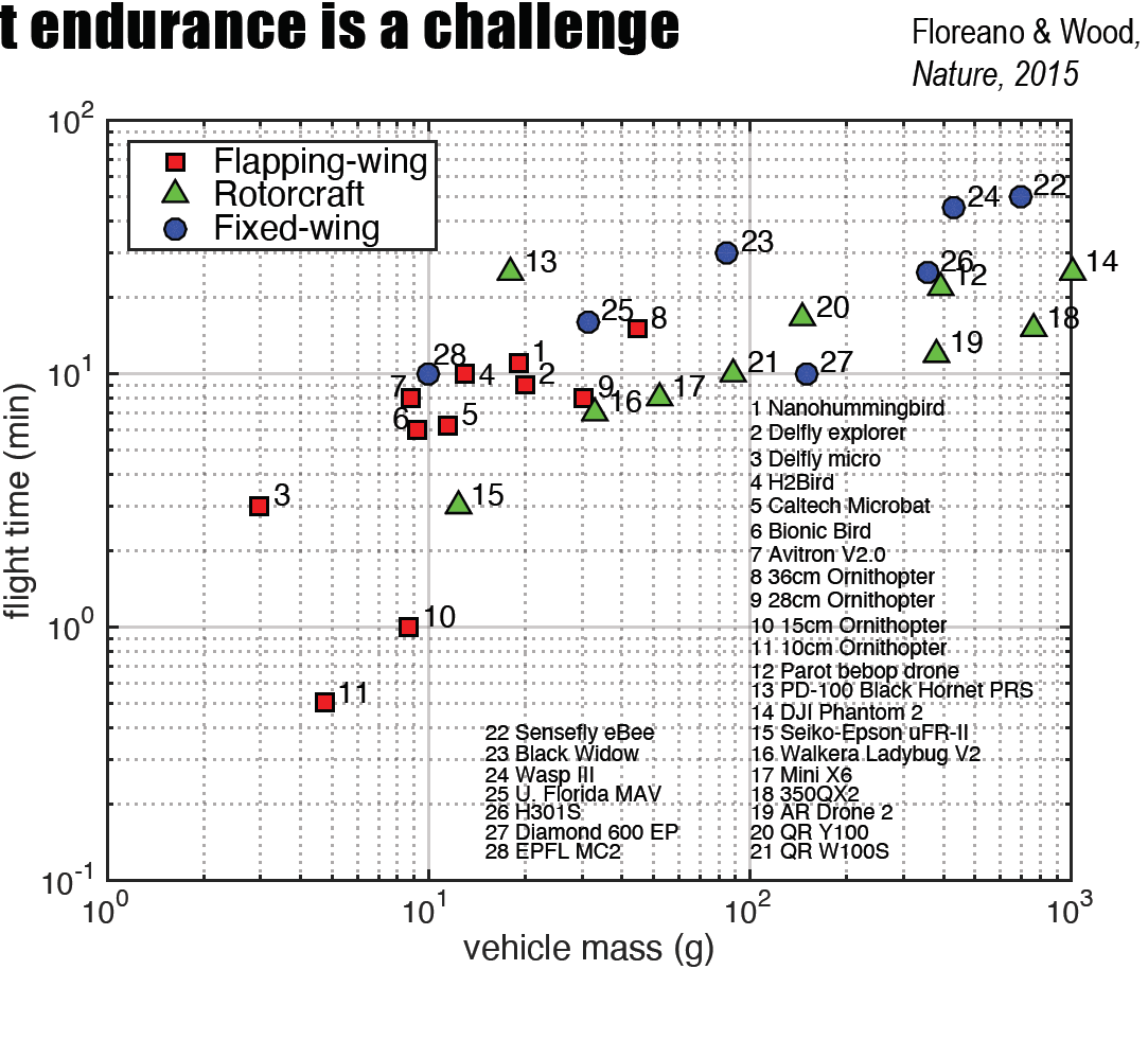 week1_endurance_mass